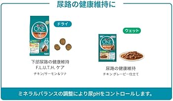 Amazon | ピュリナ ワン キャット ドライ 下部尿路の健康維持F．L